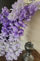 wisteria naturalna.png