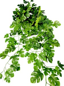 Sztuczna Monstera Zwis