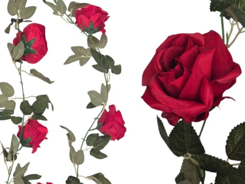 20260417_122010 (1).jpg