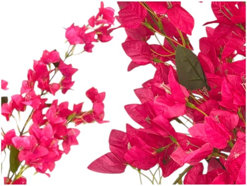 20260422_130341 (2).jpg