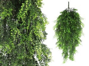 Griny Pnącze Paprotniak Fern Persa Zwis UV 