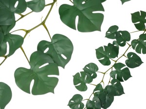 Griny Sztuczna Monstera Pnącze 160cm