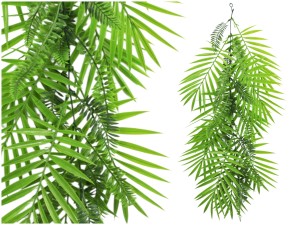 Griny Pnącze Palma Zwis UV